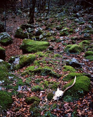 写真展1.jpg (320.53 KiB) 閲覧された回数 12011 回 よみがえれ