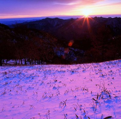 写真展2.jpg (130.65 KiB) 閲覧された回数 12011 回 ファーストシーン