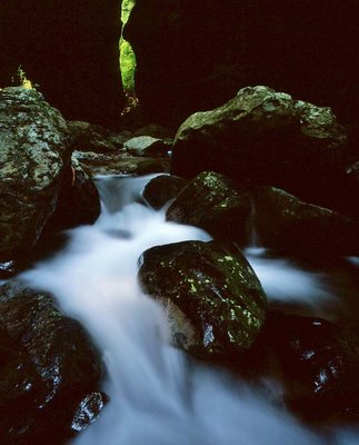 写真展3.jpg (111.12 KiB) 閲覧された回数 12011 回 季の扉