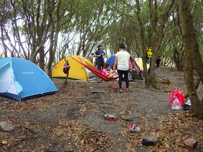 この海辺の森は、日本かと見まがうほどいろんな人種が訪れてくれる。<br />オーストラリア、フランス、カナダ、アメリカ、スリランカ、ドイツ、イラク、イラン、ベトナム・・・。<br />（１０/１１）。