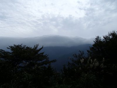 林道の峠から見た銀杏峰は、山頂部が雲に覆われていました。