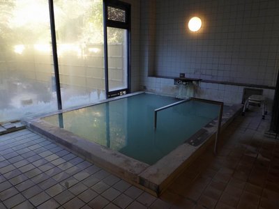 湯元温泉「板屋」の内風呂