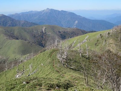 縦走路を展望.jpg (142.35 KiB) 閲覧された回数 5602 回 西へ向かってうねる縦走路