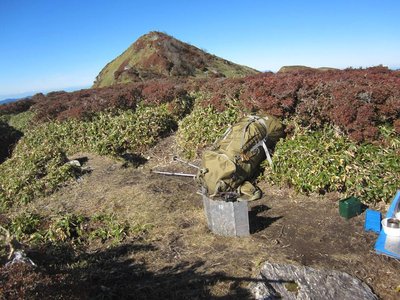 IMG_2643.JPG (186.93 KiB) 閲覧された回数 5603 回 コメツツジに染まった三嶺ピーク