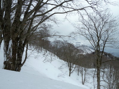 雪の芦谷山北東尾根から野坂岳を望む
