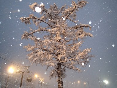 s-20141230-PC300044.jpg (270.12 KiB) 閲覧された回数 8800 回 s-20141230-PC300044.jpg