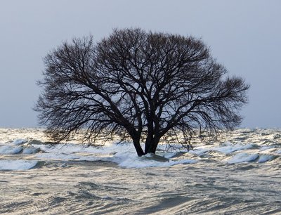 寒風の琵琶湖に立つ