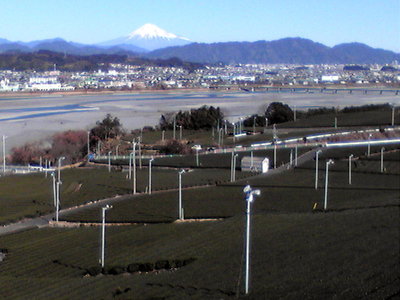 牧ヶ原からの大井川と富士山 2013/12/29