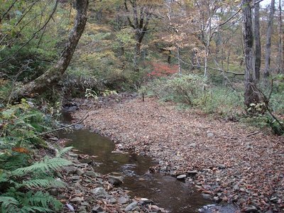 秋の大平…小川のような流れ