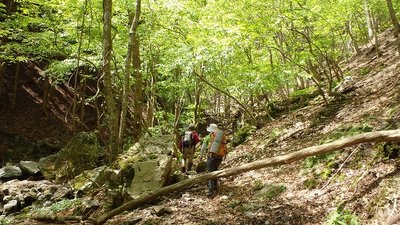 P5100026.jpg (170.13 KiB) 閲覧された回数 10644 回 新緑の奥山谷を行く