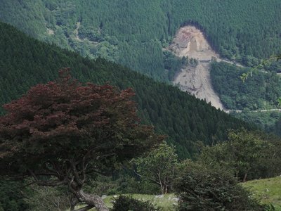 グー泣かせ.jpg (205.82 KiB) 閲覧された回数 4140 回 小さめの重機がせわしなく作業中。林道整備ではなく、治山整備だそう。