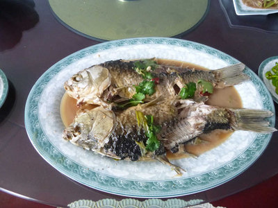 淡水魚（草魚の仲間？）