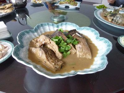 淡水魚（マスの類かな？）