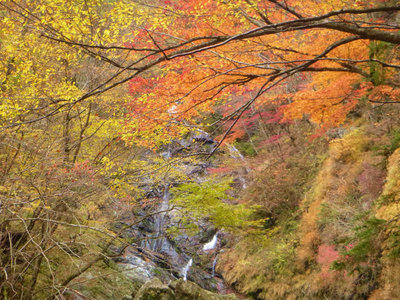 紅葉とサスケ滝