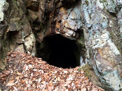 IMG_7215.JPG (303.66 KiB) 閲覧された回数 9796 回 坑口と思われる穴には水が溜まっていた