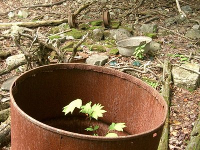 IMGP2422.JPG (262.4 KiB) 閲覧された回数 9670 回 散乱する生活痕