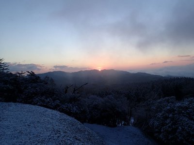 これだけ見えたら上出来でしょう。