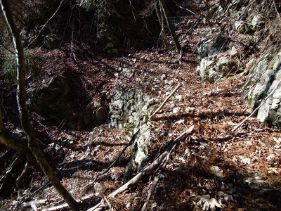 又口道。枝谷が横切るところは石積みされている。洗い堰状だったのだろうか。