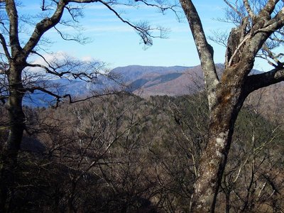 樹間から見る大台ケ原。<br />布団をかぶっった寝姿。