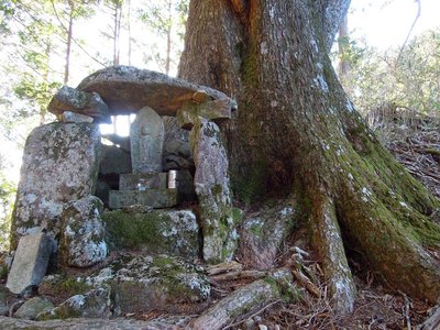 ツガの大木下に祀られた追分のお地蔵さん。