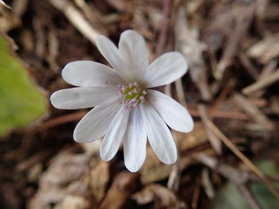 resizeP3263984.jpg (104.8 KiB) 閲覧された回数 4171 回 もう少し陽光と気温があれば良かったのだけど