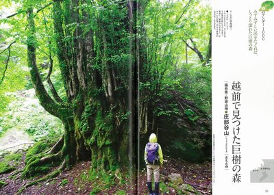 サイズ変更20160411110832-0001.jpg (323.14 KiB) 閲覧された回数 7869 回 「岳人」5月号の庄部谷山の紹介記事(草川啓三氏)