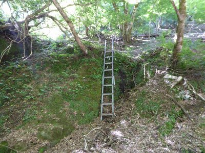 P1020862.JPG (333.94 KiB) 閲覧された回数 7657 回 またまたハシゴです