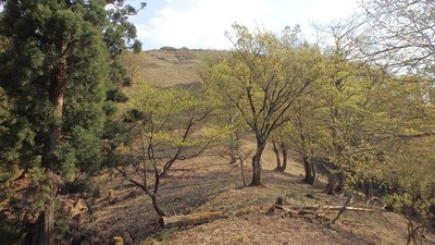 P4300399.jpg (203.83 KiB) 閲覧された回数 7228 回 山頂まであと少しなのに…