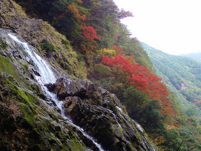 小木森滝下段と紅葉
