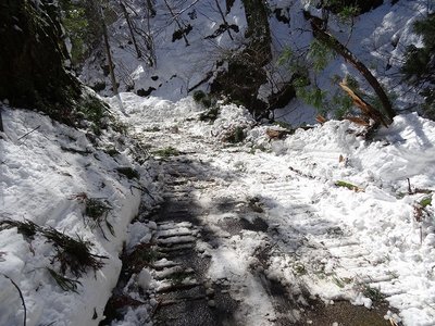 林道は除雪されていた