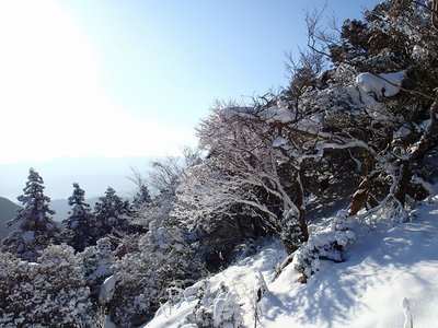 鈴鹿最南部にしては雪が多い。