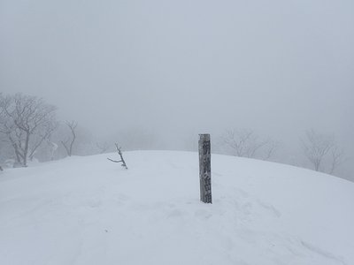 御池岳頂上も深い雪