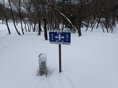 根の平峠.jpg