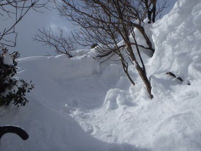 P2110018_512.jpg (35.57 KiB) 閲覧された回数 6384 回 雪の壁