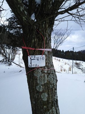 2017.2.15 雪の嘉嶺の頭 - 29.jpgnosyou.jpg