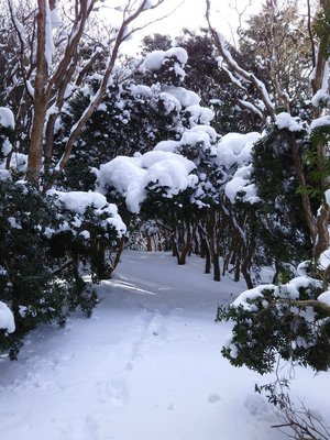 2017.2.15 雪の嘉嶺の頭 - 17.jpg
