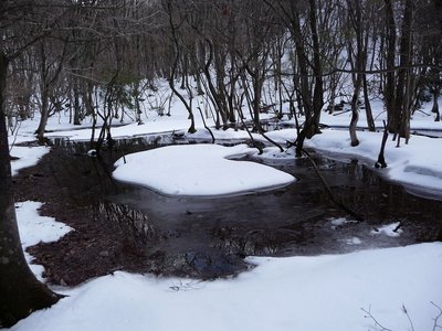 こんな感じが好きです