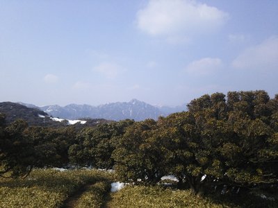 鎌ヶ岳と馬酔木
