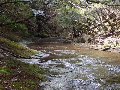 P4020123.jpg (129.68 KiB) 閲覧された回数 7717 回 延々と続くナメ