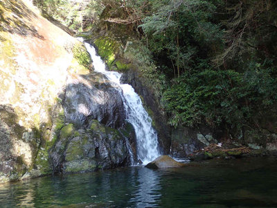 P4020071.jpg (95.59 KiB) 閲覧された回数 7734 回 大きな釜を持つ10m滝