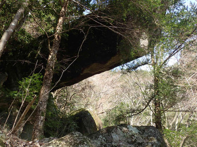 P4020063.jpg (125.1 KiB) 閲覧された回数 7717 回 木に支えられた大岩