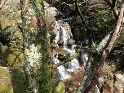 P4020057.jpg (130.01 KiB) 閲覧された回数 7736 回 大岩ゴーロの岩間滝