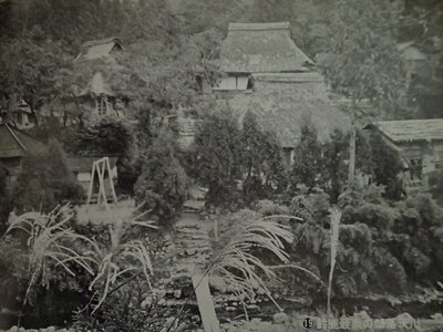 P5030156.JPG (460.54 KiB) 閲覧された回数 11052 回 茨川です