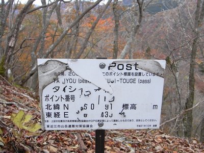 なんじゃ、これは！（2012年11月／建って3年）