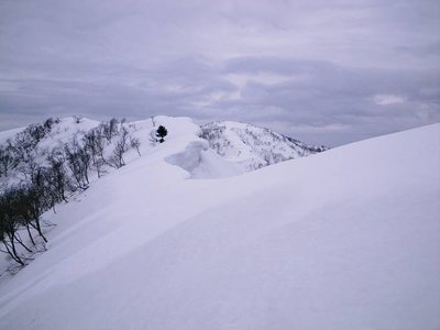 白倉岳直下の雪庇