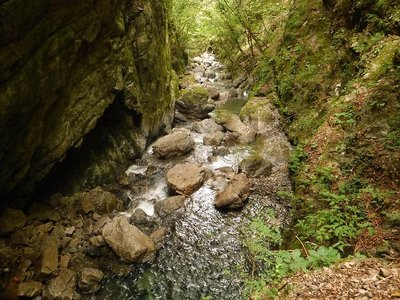 ここから下の滝壺に飛び込めばすぐなんだけど・・・