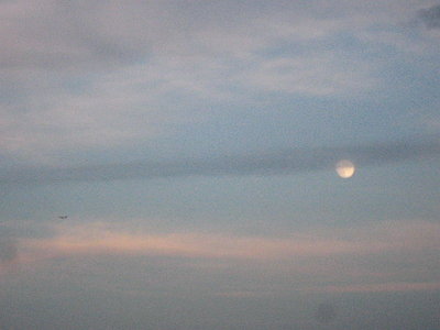 ● 飛行機がお月様を横切ってる、好い眺めら朗よ
