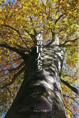 大扉－朽木駒ヶ岳のブナ