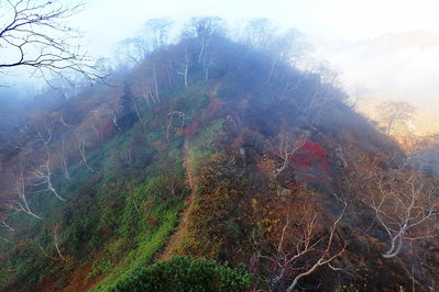 たおやかな尾根道