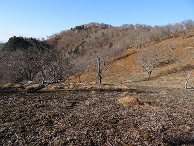 DSC08464.jpg (166.66 KiB) 閲覧された回数 5036 回 桧塚奥峰